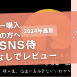 SNS侍の口コミ評判を徹底レビュー！購入結果や安全性も解説！