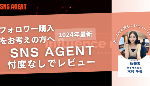 SNS AGENTの口コミ評判を徹底レビュー！購入結果や安全性も紹介！